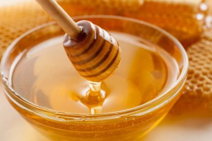 Perspectivas Favoráveis para a Apicultura no Rio Grande do Sul em 2026