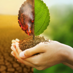 Hebron Costa Cruz de Oliveira reflete sobre como produzir e conservar podem caminhar juntos na agropecuária moderna.