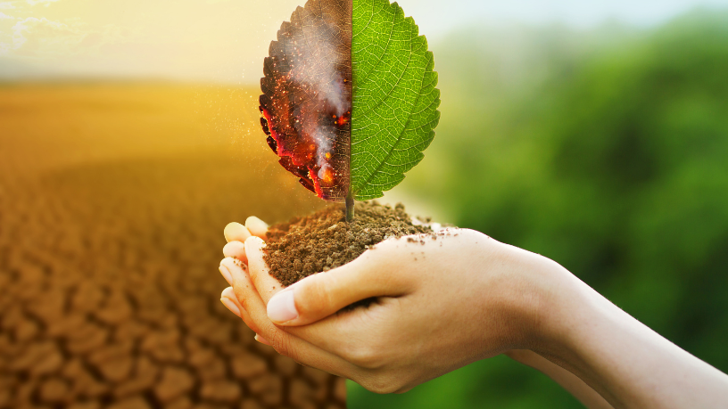 Hebron Costa Cruz de Oliveira reflete sobre como produzir e conservar podem caminhar juntos na agropecuária moderna.