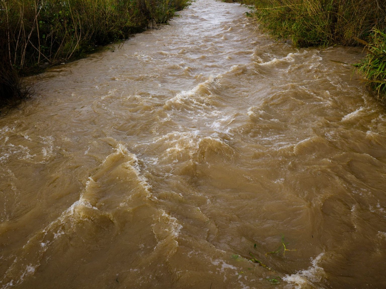 Rio barrento correndo com força por uma paisagem natural após chuvas intensas, com sinais de erosão nas margens