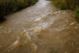 Rio barrento correndo com força por uma paisagem natural após chuvas intensas, com sinais de erosão nas margens