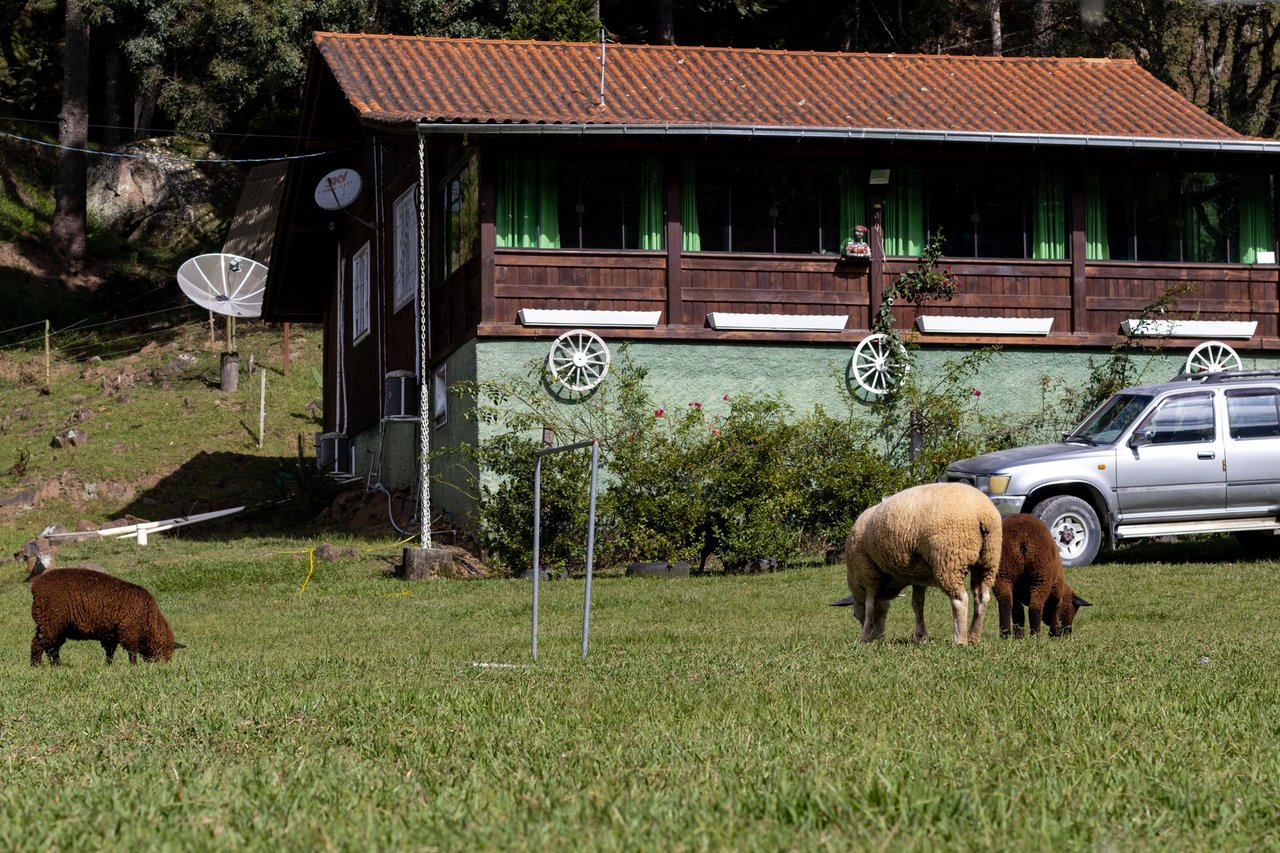 Ovelhas pastam diante de uma casa rural e de um caminhão em Urubici, em Santa Catarina.